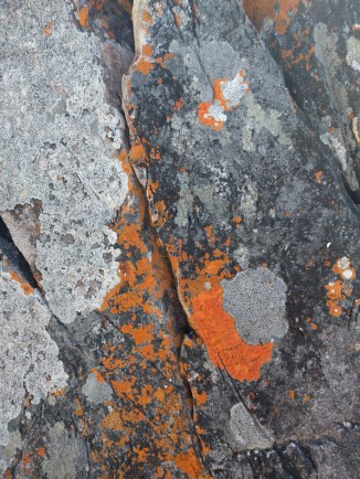 04-img_20161120_102833