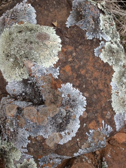 011-img_20161110_151703